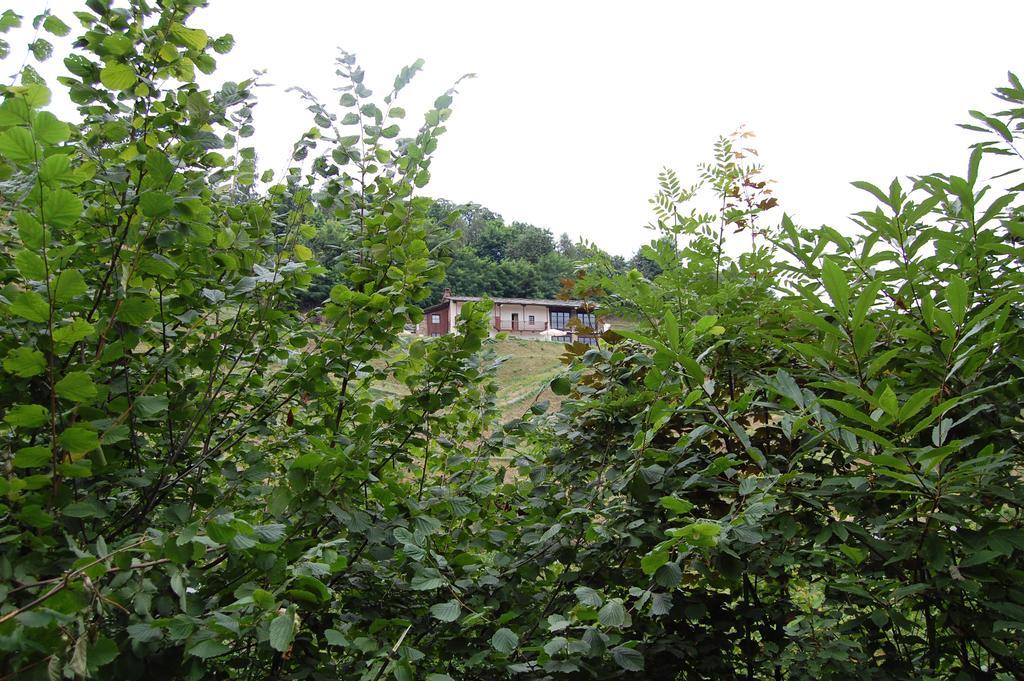 Sere Di Sosta Bagnolo Piemonte Extérieur photo